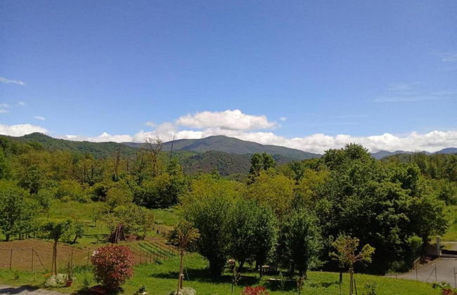 Guest House in Monferrato With Wine Tasting - Foto 41