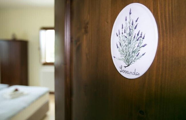 Casina Margherita - Foto 15