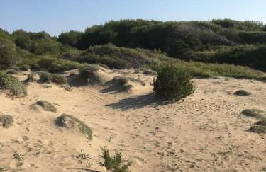 Villa Anastasia! in STROFYLIA pine FOREST!!! - Foto 12