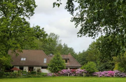 Fewo Birkenallee - Lavendel - Photo 23