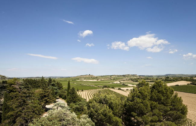 Château Les Carrasses - Foto 8