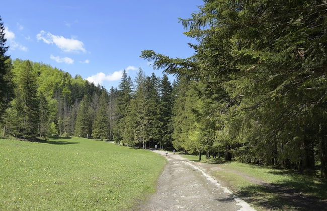 Apartamenty Domki Giewont - Foto 42