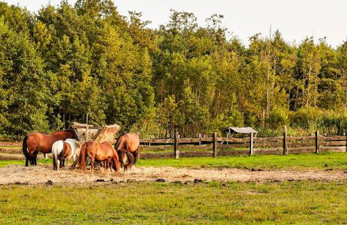 Rancho Colorado - Foto 48