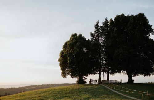 HEIMATEL - Suiten, Apartments und Studios - Foto 12