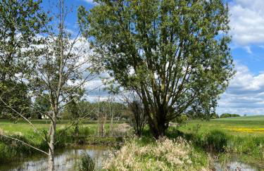 Idyllisches Apartment am Berliner Stadtrand - Foto 19