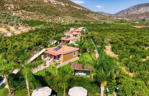 Desa Green Homes - Photo 1