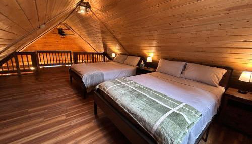 Amphitheater Mountain Cabin - Foto 5