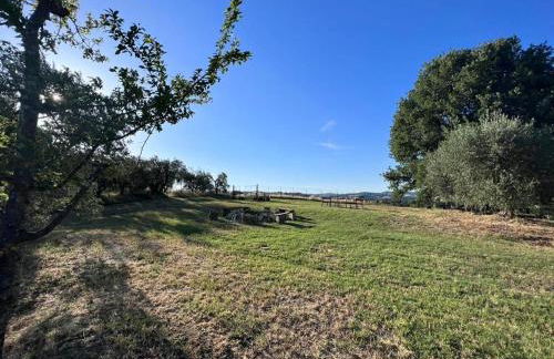 Agriturismo Madre Terra - Foto 15