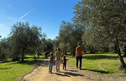 Agriturismo Fattoria Di Maiano - Foto 23