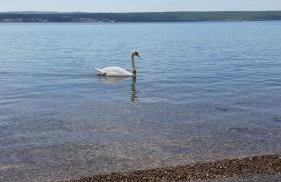 Appartement Baraba - Foto 26