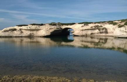 "The Artist's Home" - Foto 43