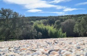 Quinta da Utopia - Foto 57