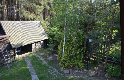 Sowa i Kumple - Foto 20