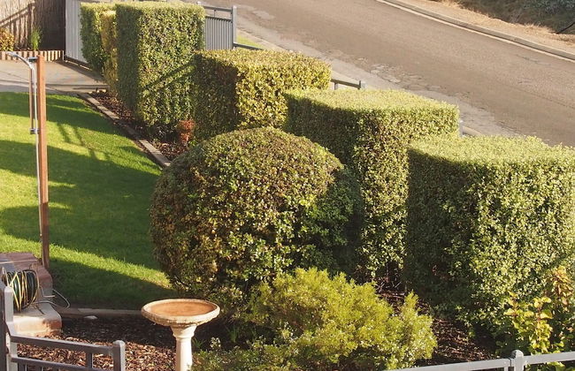 Baudin House - Photo 21