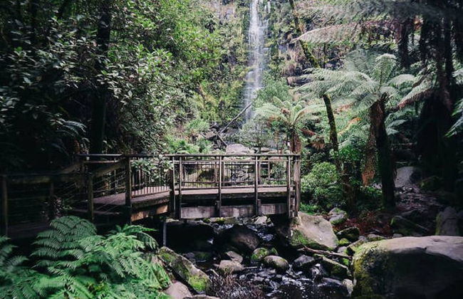 Groovy Log House Lorne Ocean View Log House Pet Friendly Freshly Renovated - Photo 34