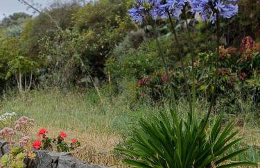 Casa cueva El Balcón del Cortijo - Foto 20