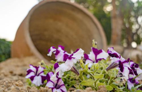 Aggel's House - stone house - private pool - courtyard - countryside views - Foto 50