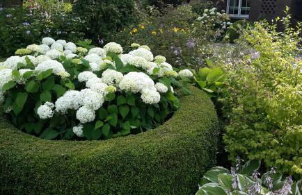 Gartentraum - Foto 31