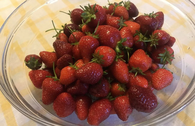 FUCCIOLI II - Foto 13