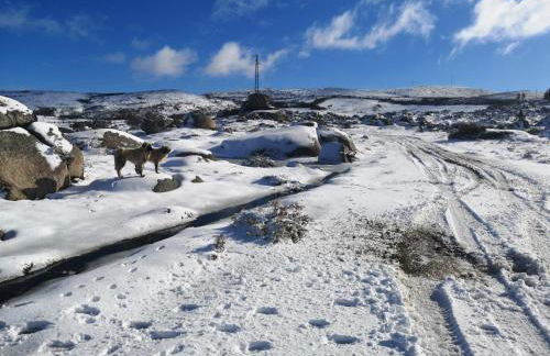 Casa da Avó Ana Alvão - Foto 29