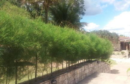 Refúgio na Serra - Photo 37