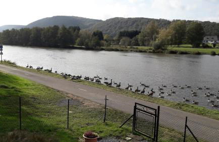 Chalet le logis des autre - Foto 54