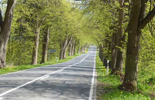 Fewo Rügen Böttger - Foto 52