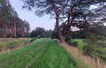 Ostoja Klocek - Foto 28