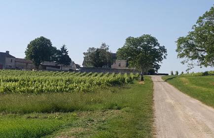 L'âtre de l'Abeilloire - Foto 22