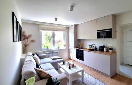 Przytulny Apartament - Centrum - Foto 1