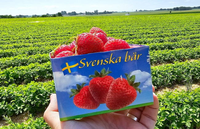 4 Star Holiday Home in Yngsjo-by Traum - Foto 10