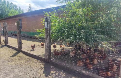 Apartment am Hofladen Hellendorf - Sächsische Schweiz by Interhome - Foto 13