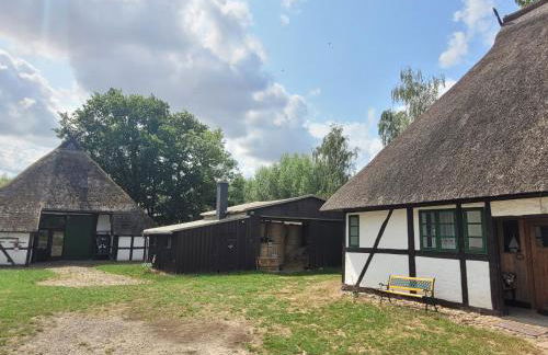 Ferienhof Schwalbennest OFC 24 - Foto 70