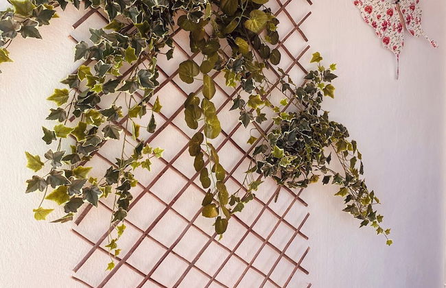 Casa Paca - Your Private Oasis in Lanzarote - Paradise by the Sea - Foto 65