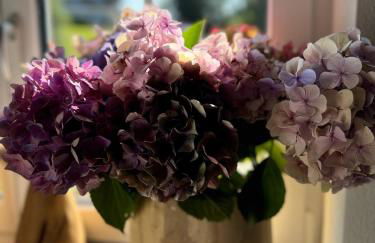 MOUNTAIN LODGE OBERJOCH - Allgäu - Foto 35