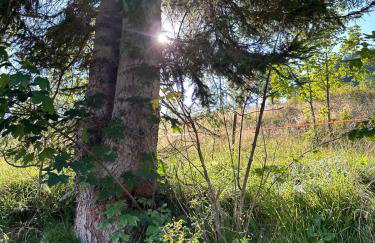 A cjase di Luca - Photo 28