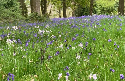 2 Guests - Pet Friendly - Traditional Gypsy Vardo - Foto 33