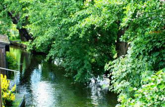 Ferien am Hegensteinbach - Foto 16