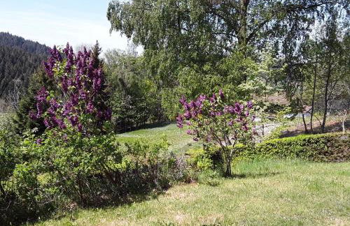 Chalet spacieux avec balcon, WiFi gratuit, proche lac et station de ski - FR-1-589-140 - Photo 9