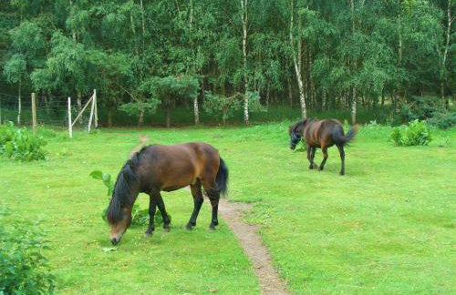 Wiejski Dom - Foto 14