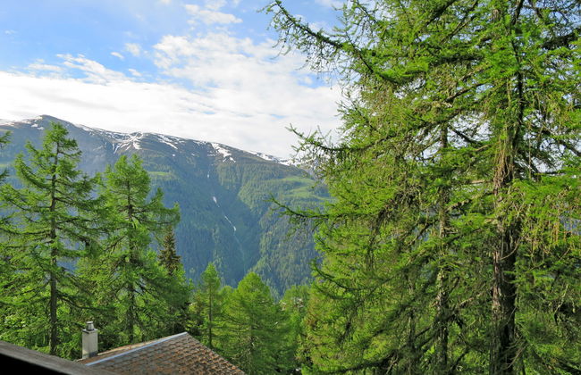 Chalet Soldanella (BEL205) - Foto 14