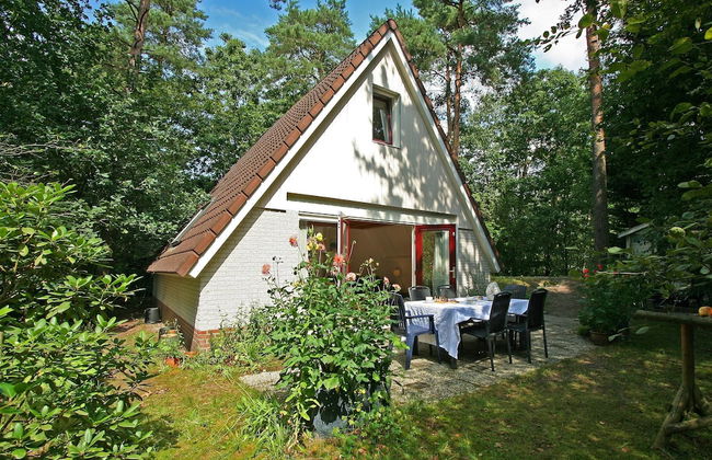 Cozy Holiday Home in Nunspeet near Forest - Photo 1