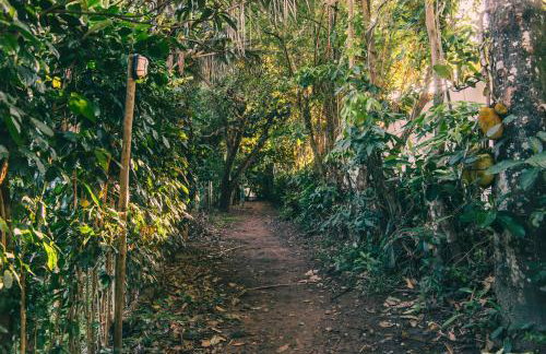 Recanto Pitanga - Foto 13