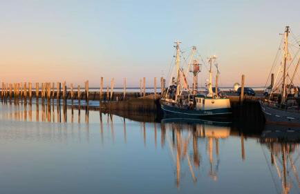 Große Warf mit Rasenfläche - Foto 2