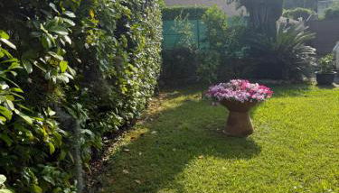 Maison du bien-être - Foto 4, Garden, Garden view