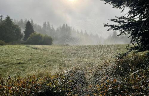 Szlak By Trafił - Photo 76