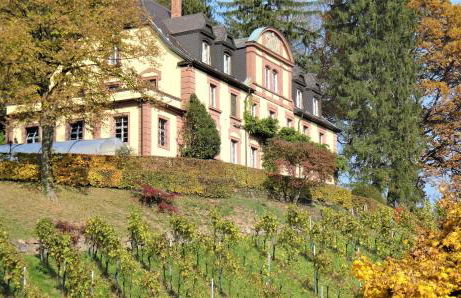 Wein Lodge Durbach - Josephsberg - Foto 13