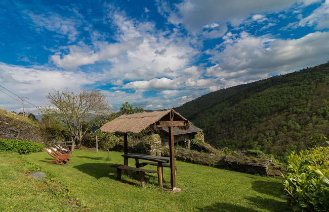 El Bosque de las Viñas - Foto 72