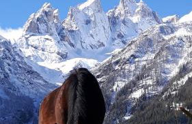 Casa Minela - Foto 42