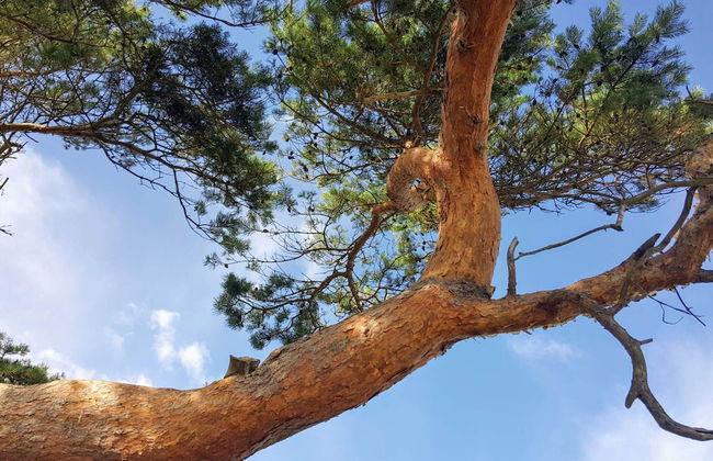 Chic Holiday Home in Hovedstaden near Sea - Foto 10